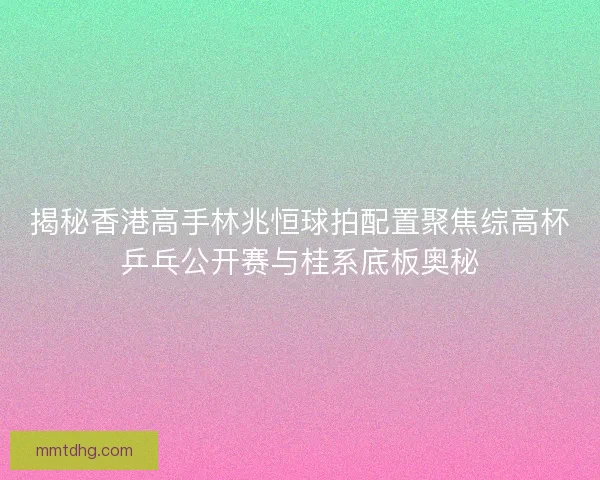 揭秘香港高手林兆恒球拍配置聚焦综高杯乒乓公开赛与桂系底板奥秘